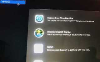 Как включить sip mac os