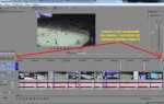Как изменить цвет видео в sony vegas