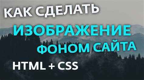 Интеграция видео и GIF в фон сайта