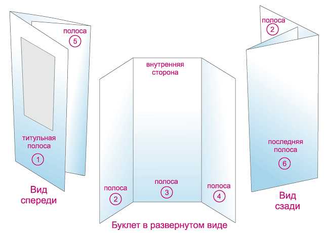 Выбор темы и цели буклета для проекта