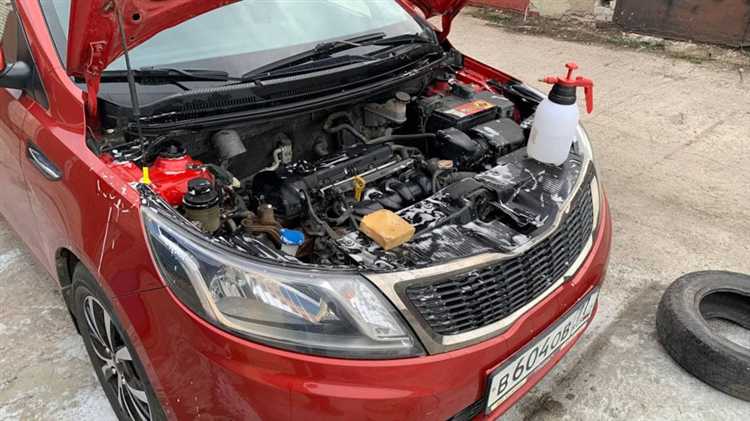 Применение специализированного программного обеспечения для Kia Rio