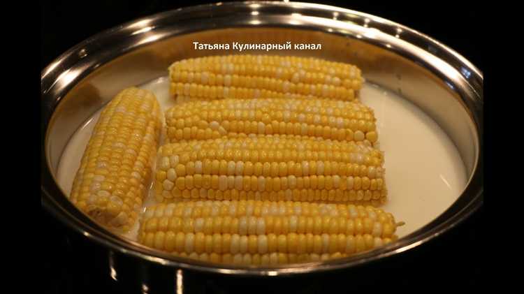 Время варки кукурузы в зависимости от сорта и зрелости