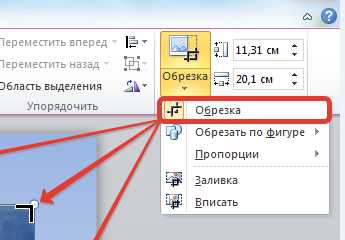 Как выбрать подходящую фигуру для вставки изображения