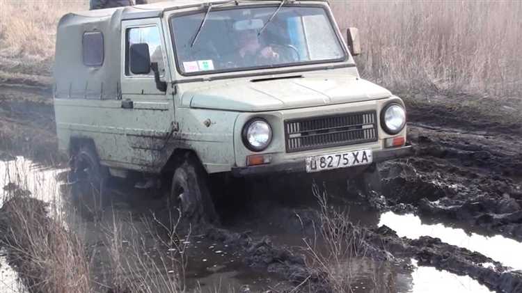Почему луаз называют волынь