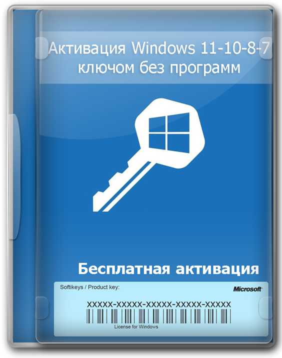 Проверка статуса активации через свойства системы