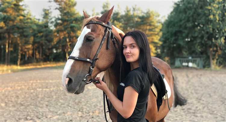 Фильтрация числовых данных с использованием условий