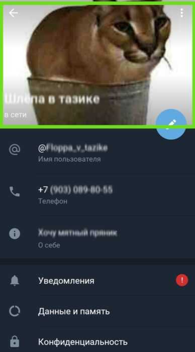Выбор подходящего фона и композиции кадра