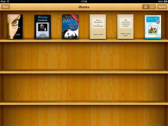 Различия в хранении книг по форматам ePub и PDF