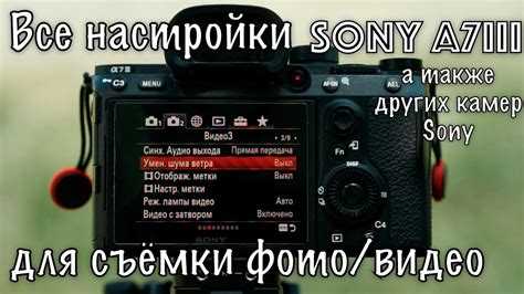 Видео возможности и стабильность изображения