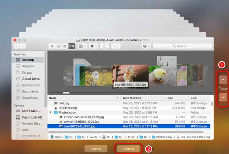 Предотвращение перезаписи удаленных файлов на Mac